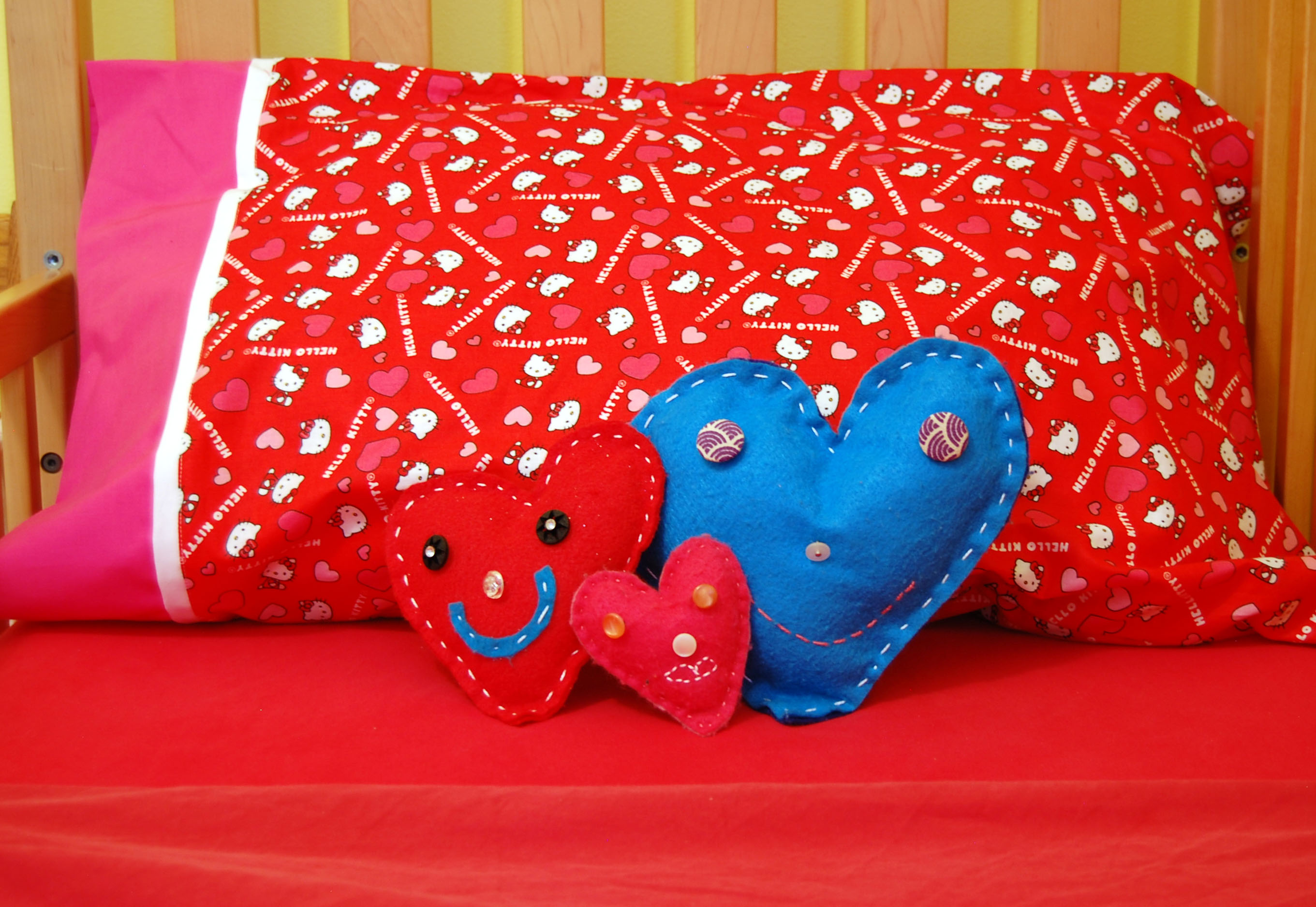 Fidget Pillow Case 2