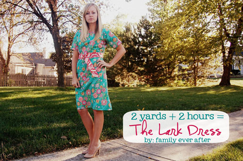 LarkDress3 500x