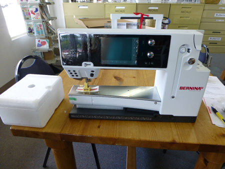 kimberly einmo's new bernina 820 - 9