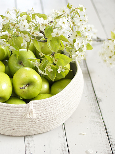 Coiled Rope Basket - with apples
