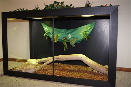 rocie - healthy habitat - AFTER