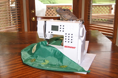 rocie - healthy habitat - with bernina 215 sewing machine
