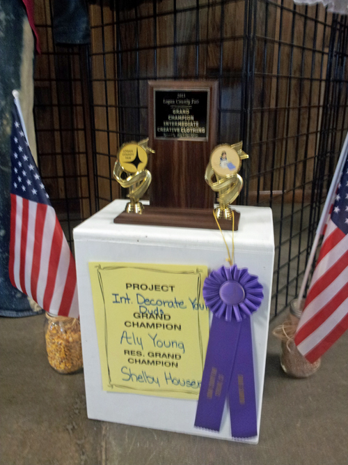 shelby - 4-H dress - reserve grand champion