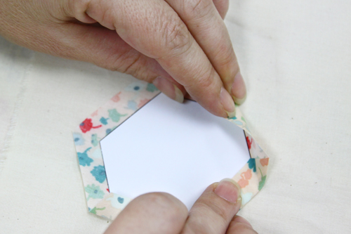 Hexie Applique