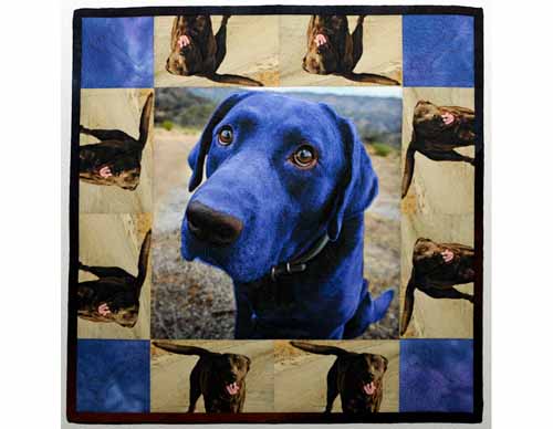See Spot Run - by Kerby C Smith