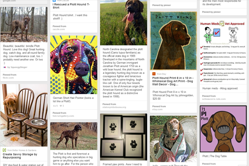 Pinterest - Love My Plott