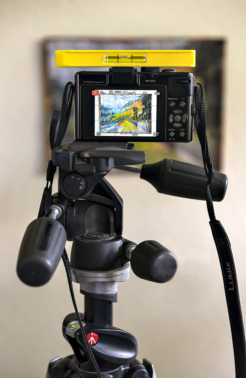 Line level on point and shoot camera - vertical