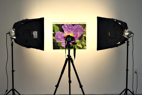 photo shoot set-up with two light sources