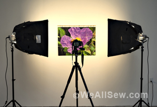 10 Tips for Better Photography