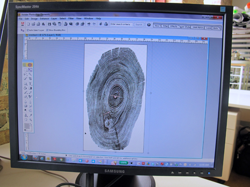 Tree ring in AI Elements