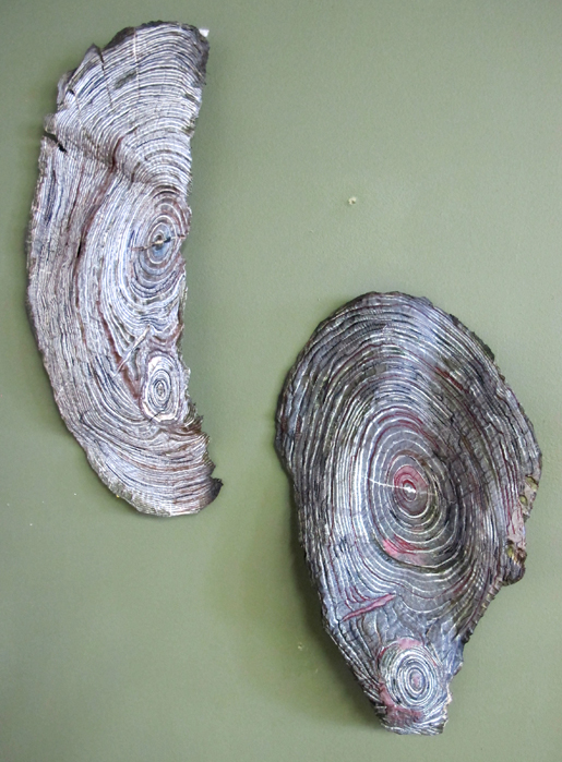 tree rings