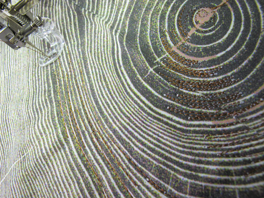 free-motion stitching