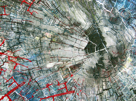 Line Dance, Tree Ring Patterns - Variation 3 by Barbara Schneider (detail)