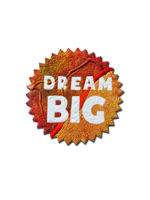 Dream Big with the BERNINA Q24