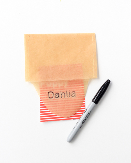name custom seed package