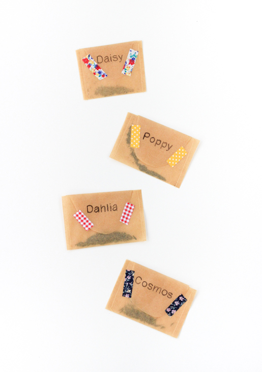 DIY Custom Seed Packets