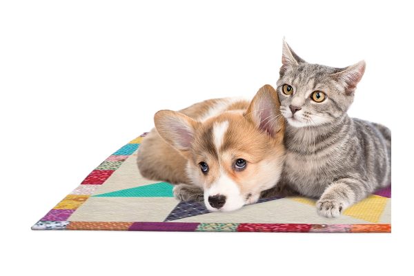 Pets on Quilt BERNINA for Furry Friends Facebook Contest