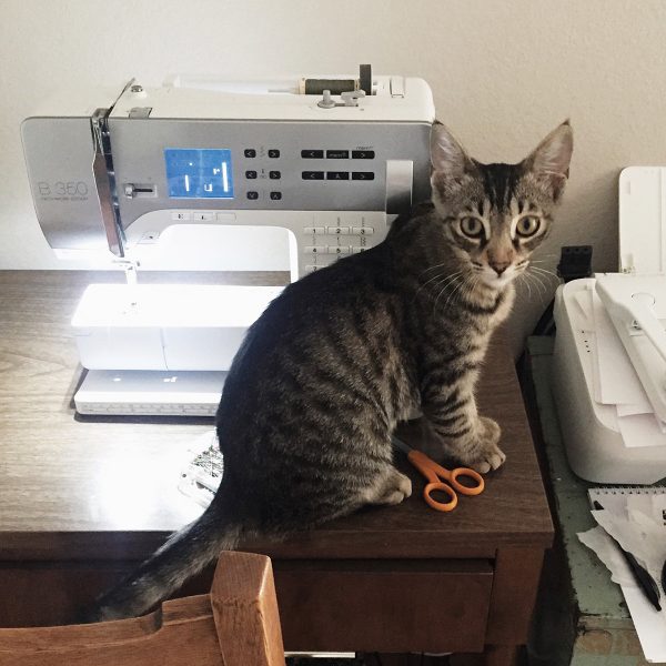 BERNINA 350 PE by Sew DIY