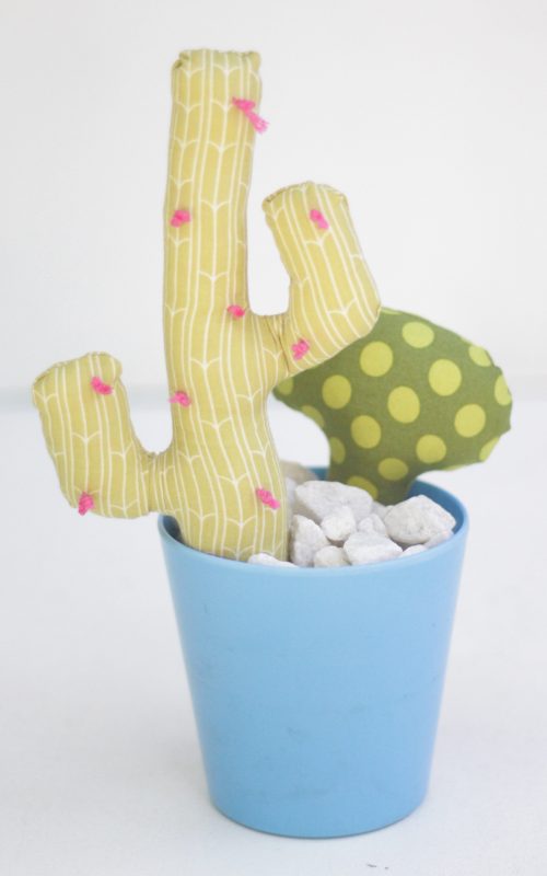 DIY potted plush succulents