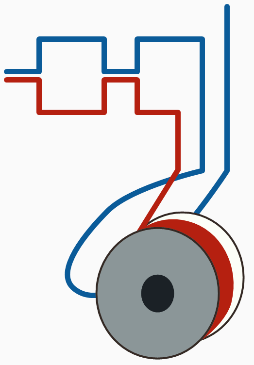 New Loop