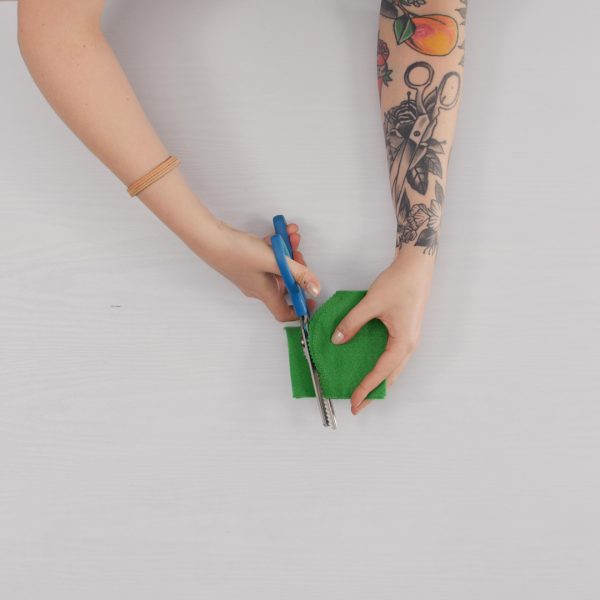 Cactus_Pin_Cushion_Trim
