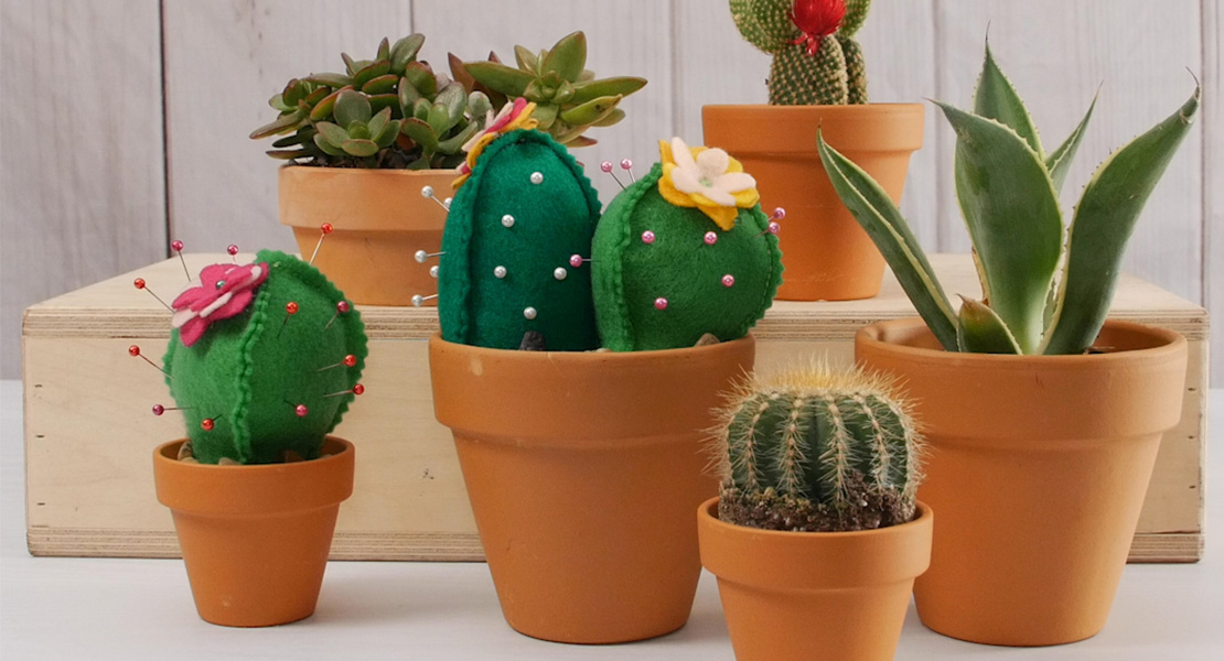In the hoop cactus pincushion