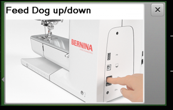 Busy_Book_Month_5_Lower_Feed_Dog