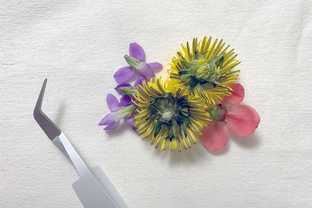 Flower-Pounding-and-Embroidery-composition