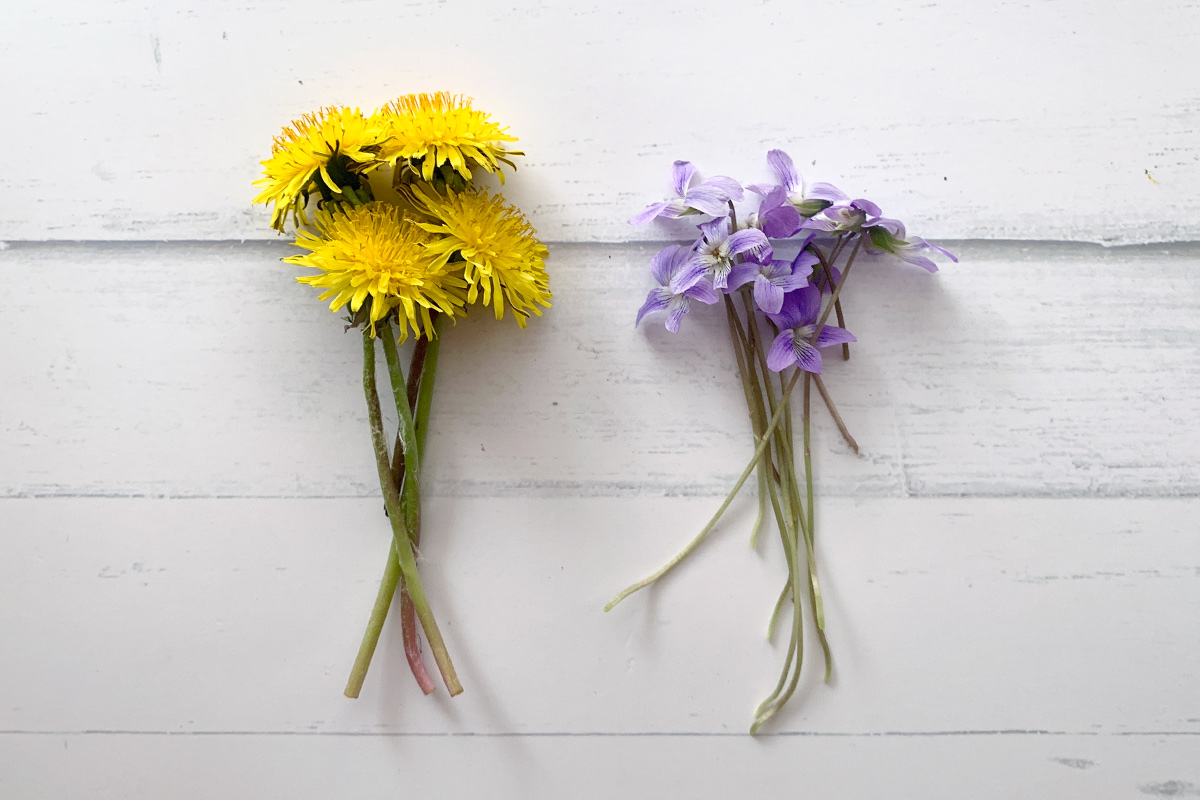 Flower-Pounding-and-Embroidery-pick-flowers