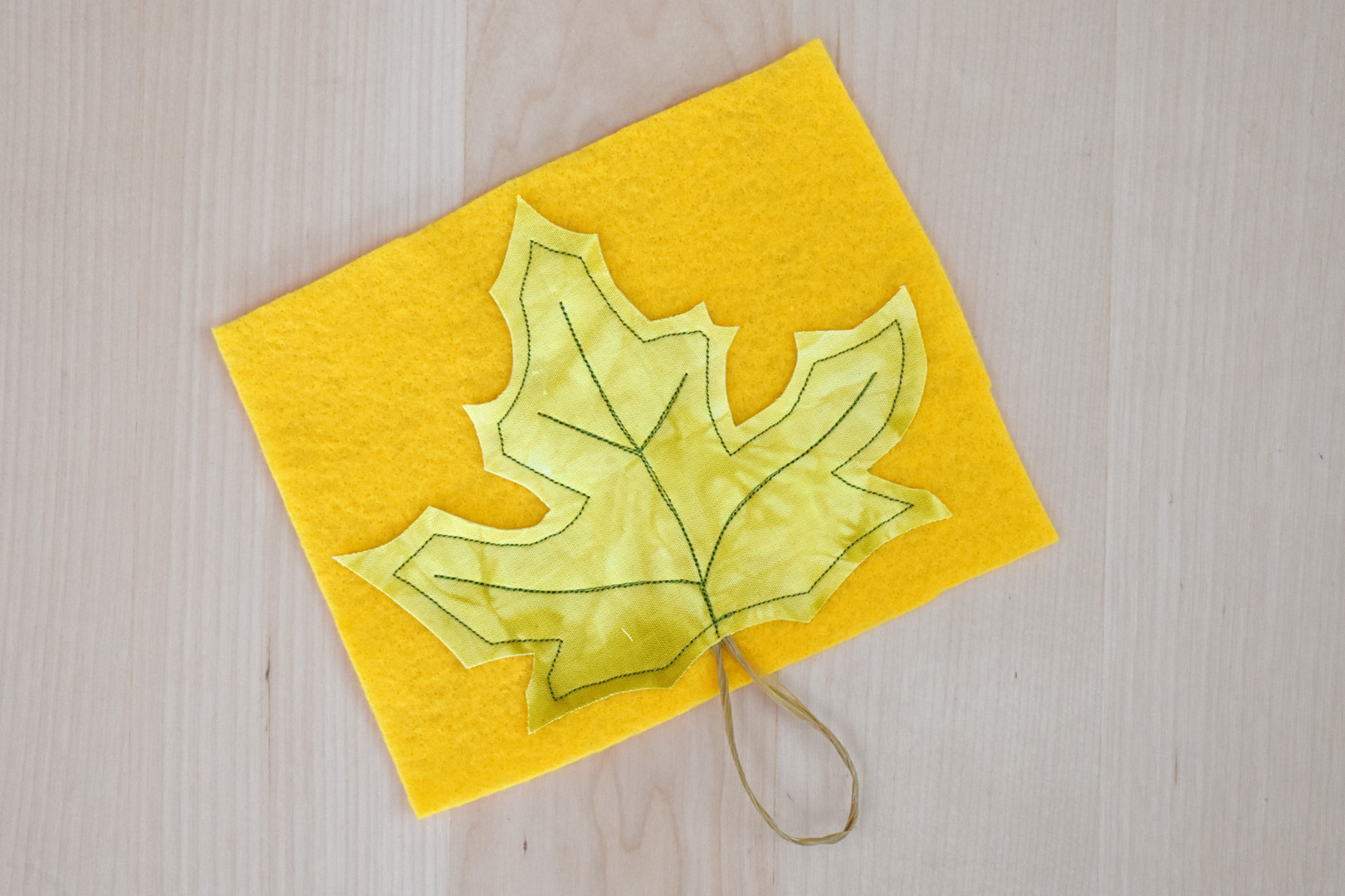 DIY Fall Leaf Décor by Erika Mulvenna