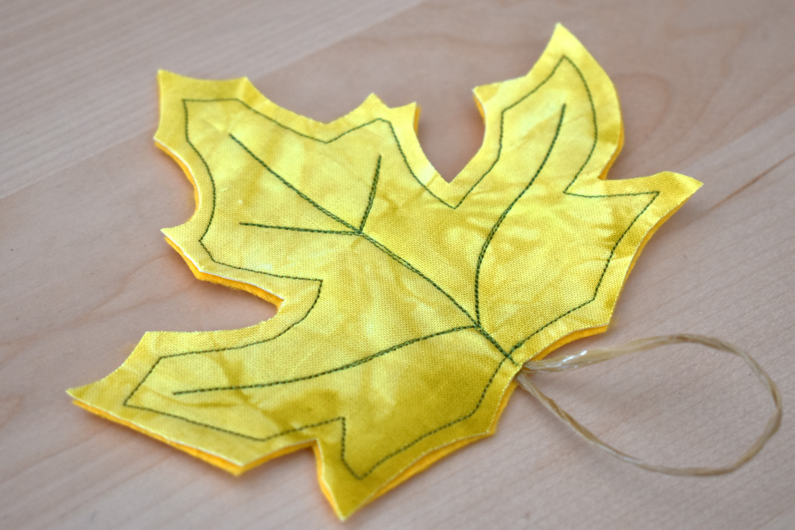 DIY Fall Leaf Décor by Erika Mulvenna