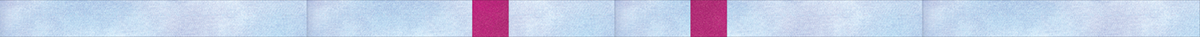 Jump_for_Joy_#5_Month_06_Side_Sash_BERNINA_WeAllSew_Blog_1200x37px
