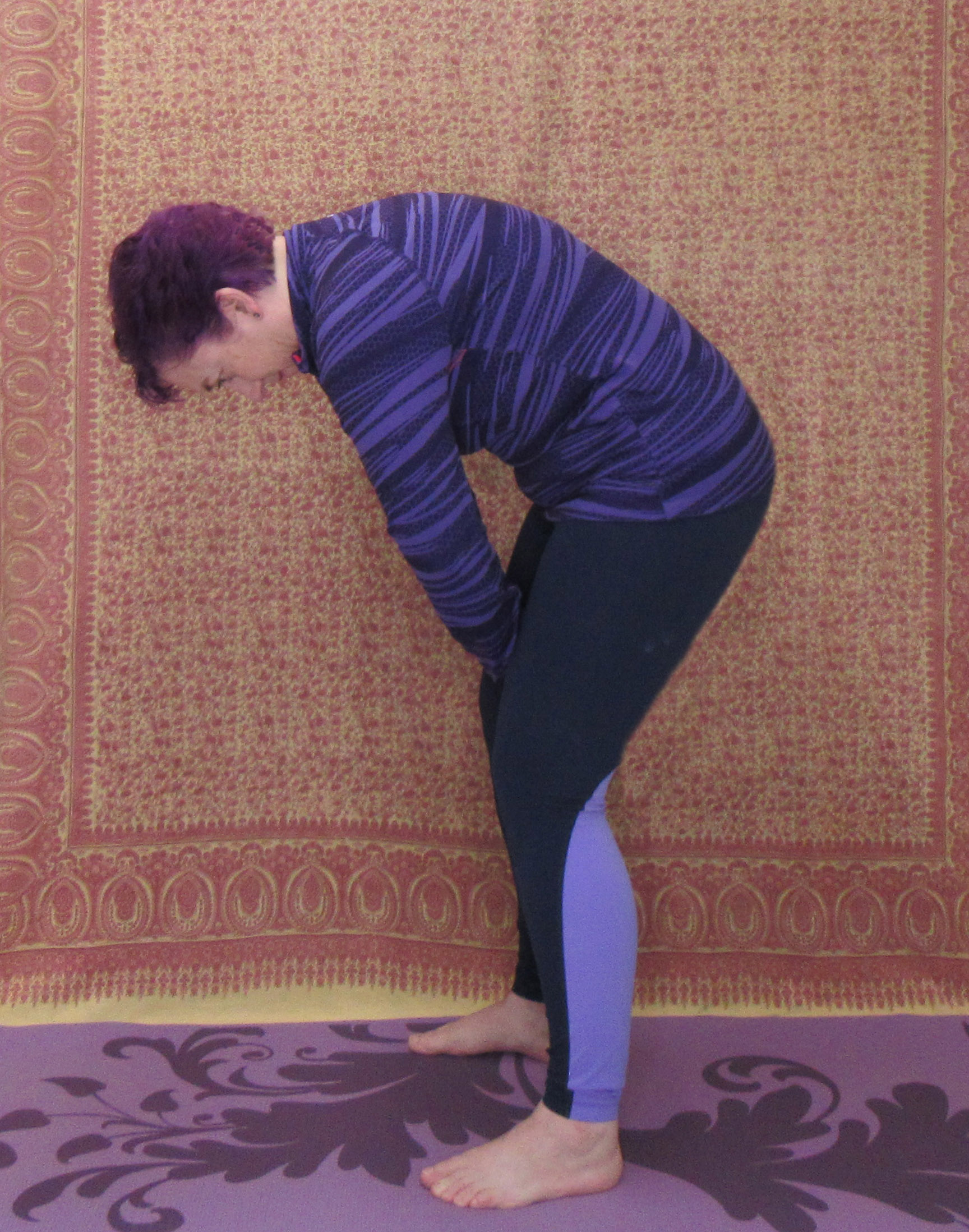 yoga pose cat modified