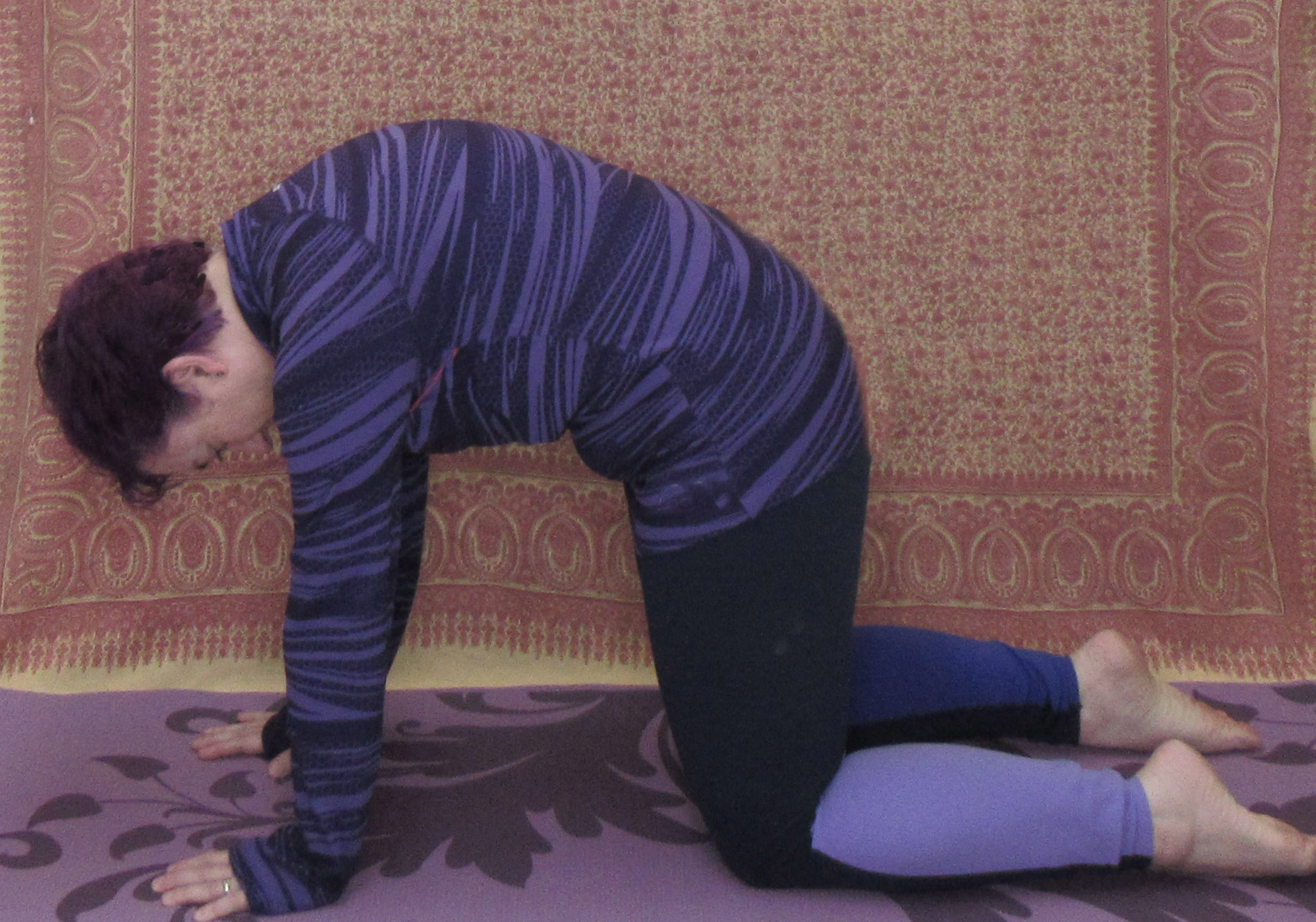 cat yoga pose