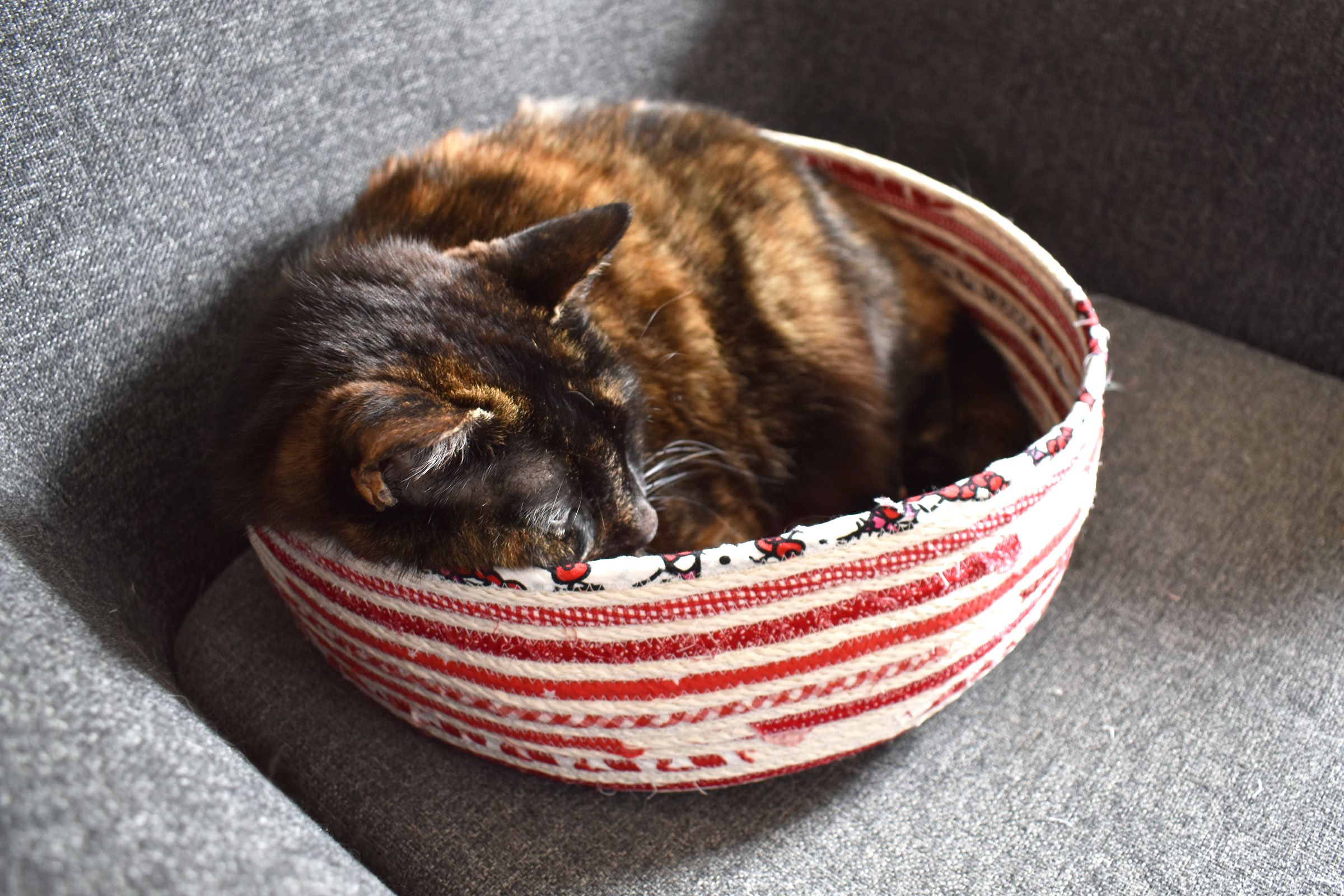 DIY Rope Cat Basket by Erika Mulvenna