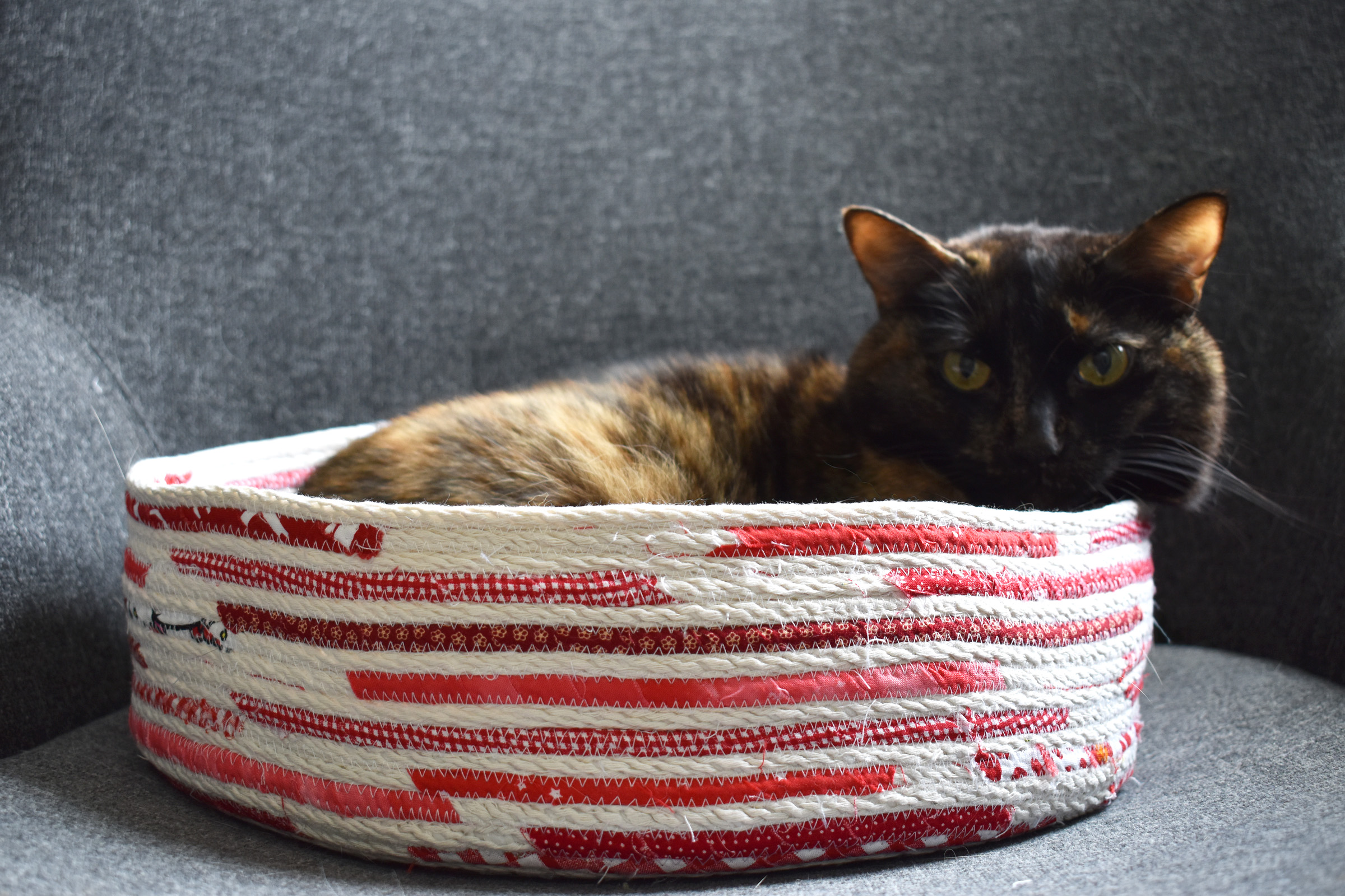 DIY Rope Cat Basket by Erika Mulvenna