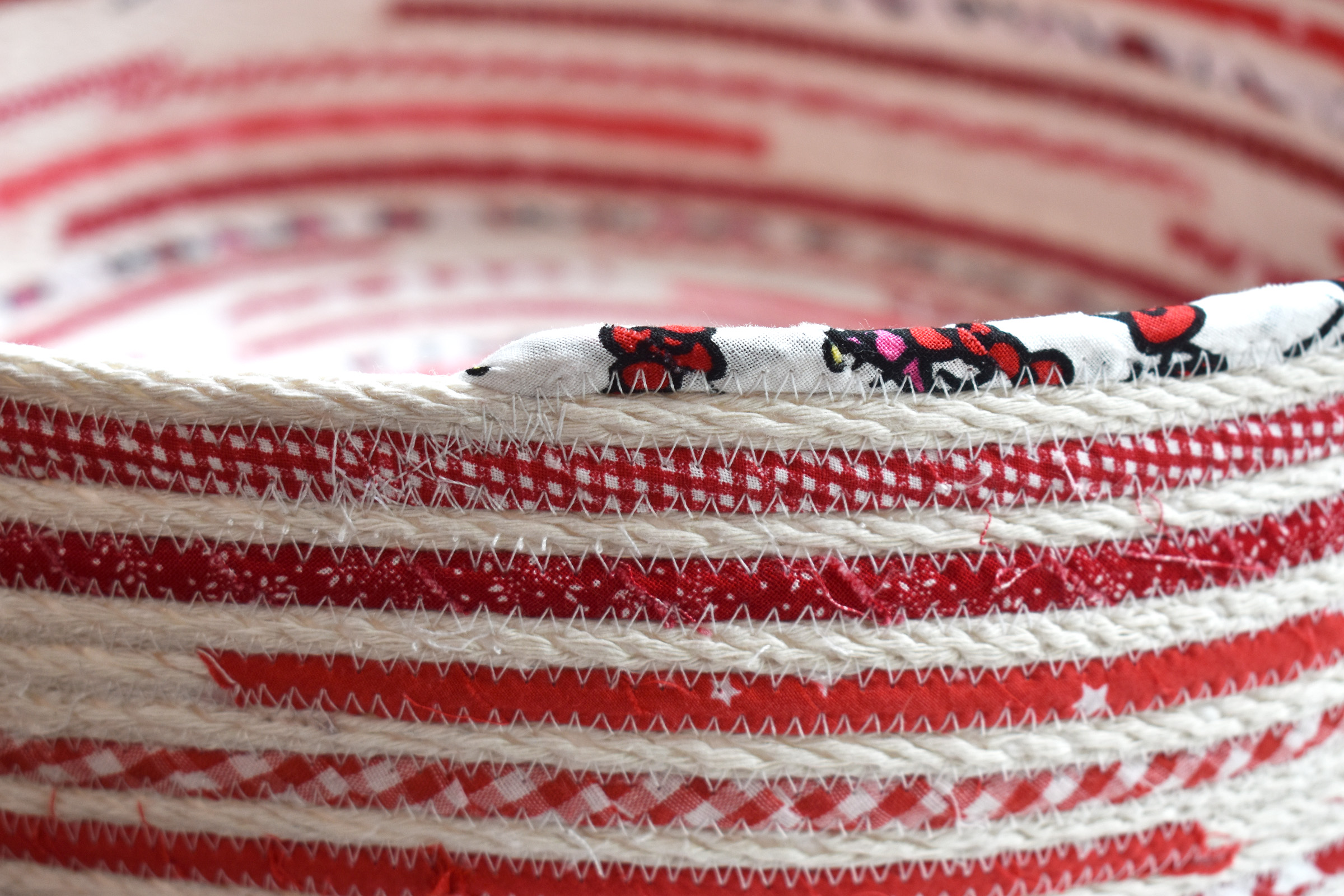DIY Rope Cat Basket by Erika Mulvenna