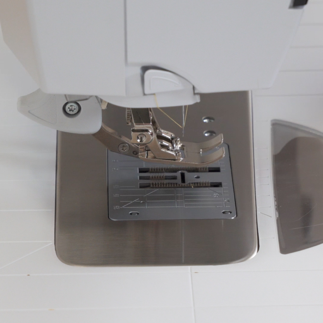 Reverse Pattern Foot #1D and 80/12 Microtex Needle attached