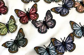butterfly_featured.jpg